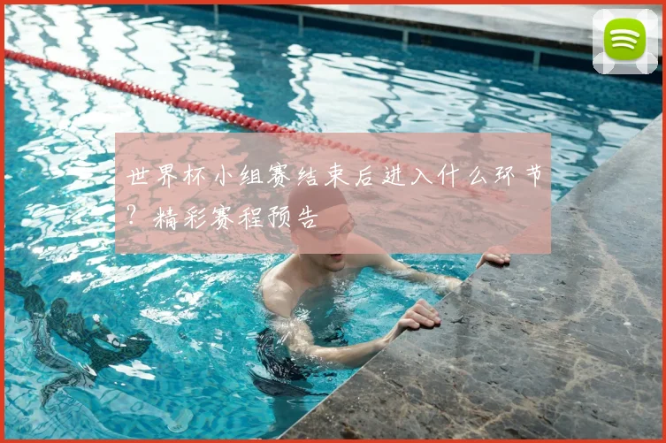 世界杯小组赛结束后进入什么环节？精彩赛程预告