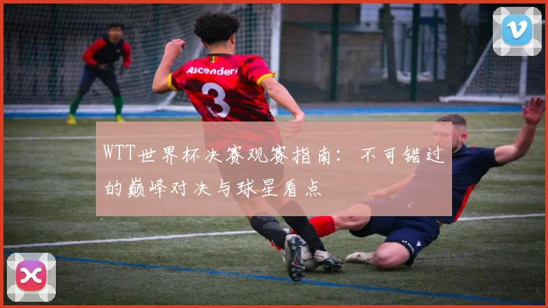 WTT世界杯决赛观赛指南：不可错过的巅峰对决与球星看点