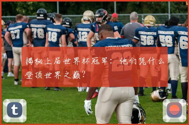 揭秘上届世界杯冠军：他们凭什么登顶世界之巅？