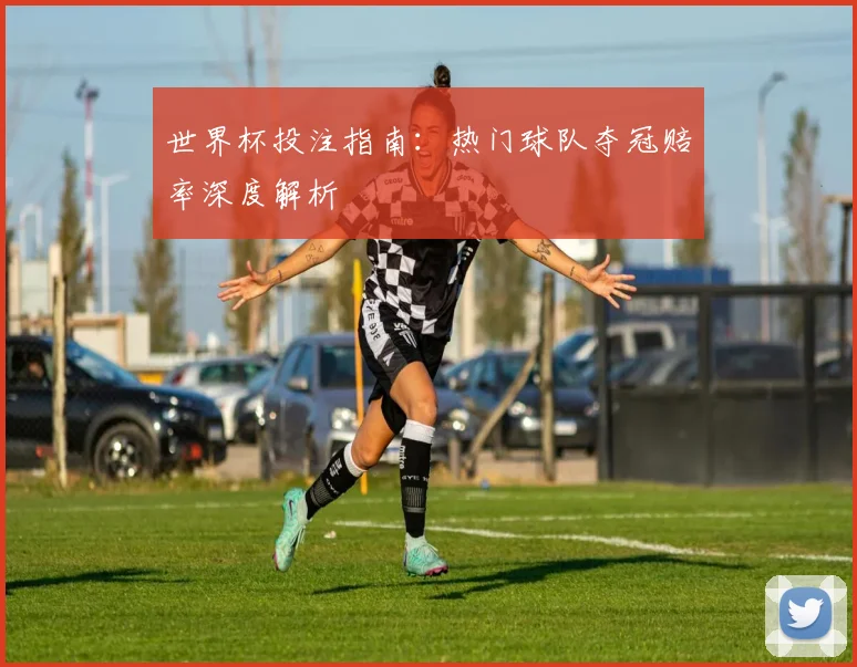 世界杯投注指南：热门球队夺冠赔率深度解析