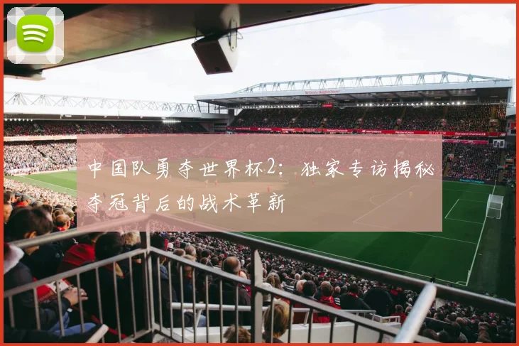 中国队勇夺世界杯2：独家专访揭秘夺冠背后的战术革新