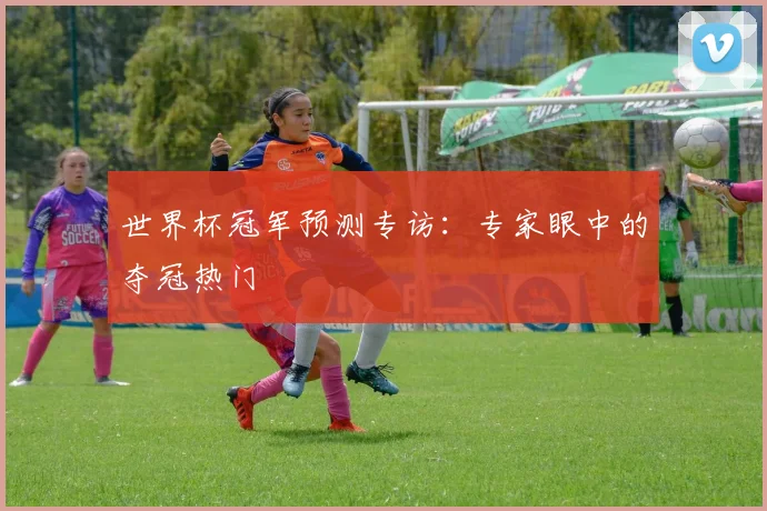世界杯冠军预测专访:专家眼中的夺冠热门