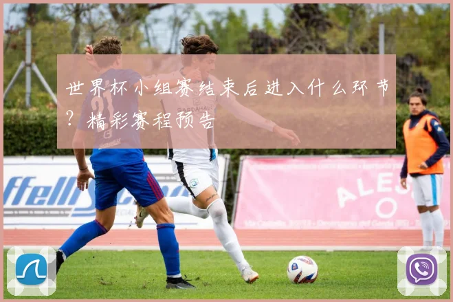 世界杯小组赛结束后进入什么环节？精彩赛程预告