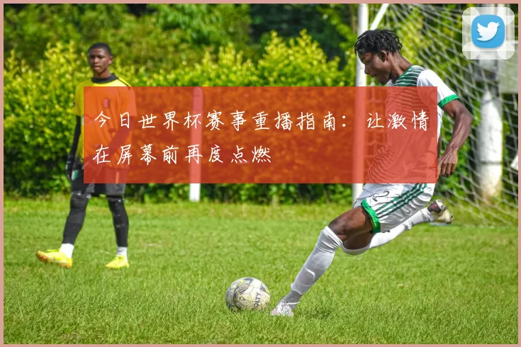 今日世界杯赛事重播指南：让激情在屏幕前再度点燃