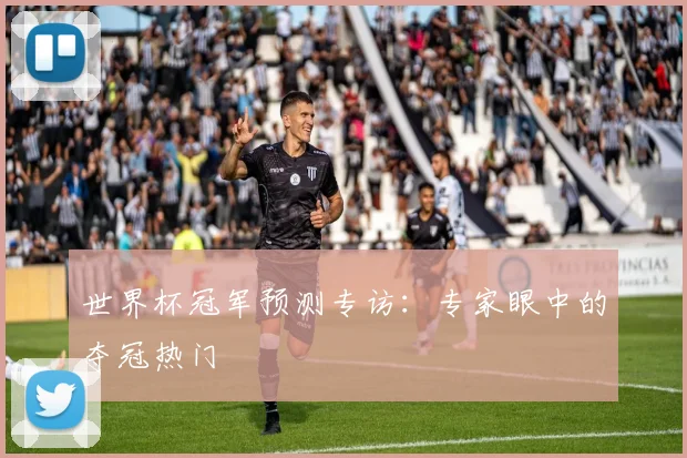 世界杯冠军预测专访:专家眼中的夺冠热门