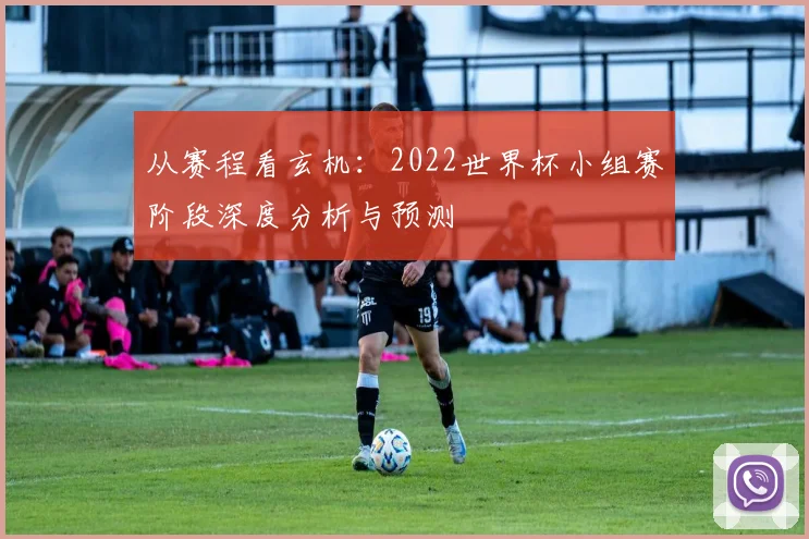 从赛程看玄机:2022世界杯小组赛阶段深度分析与预测