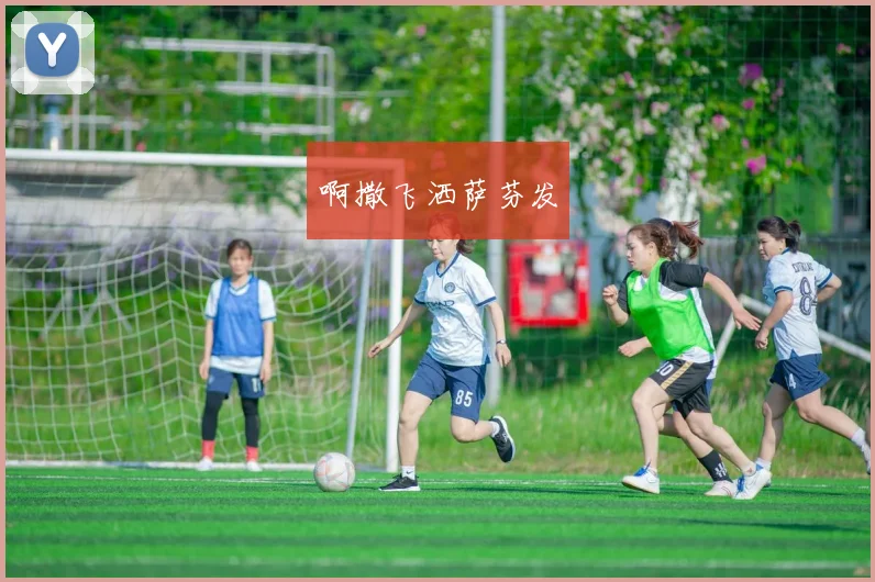 世界杯冠军竞技指南：历届冠军数据、球员表现与经典时刻回顾