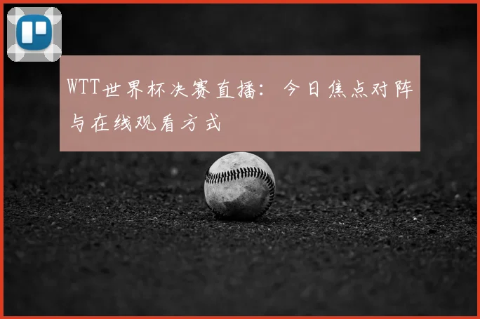 WTT世界杯决赛直播：今日焦点对阵与在线观看方式